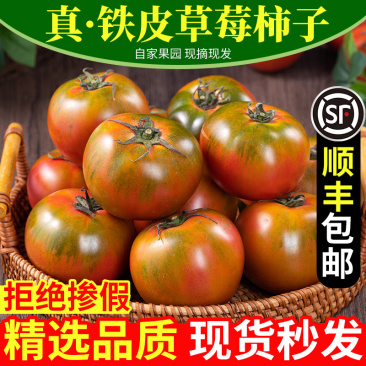 正宗铁皮草莓柿子3斤即食新鲜自然熟绿腚番茄水果西红柿整箱