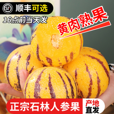 云南石林人参果新鲜水果圆果树上熟特大果12个