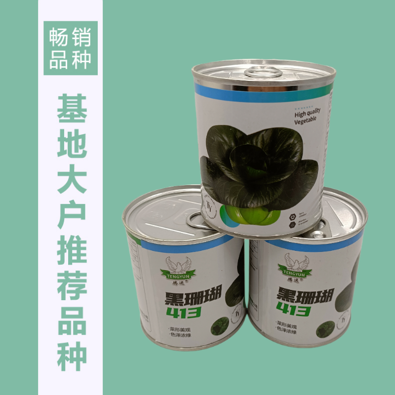 【新种上市】腾运黑珊瑚矮脚苏州青种子基地高产上海青小青菜