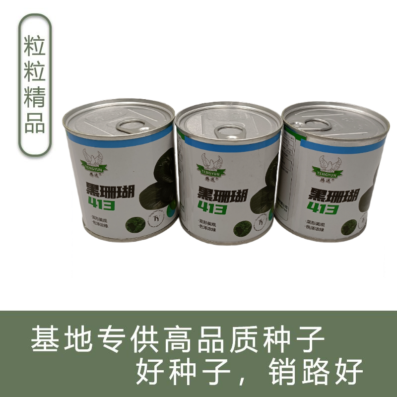 【新种上市】腾运黑珊瑚矮脚苏州青种子基地高产上海青小青菜