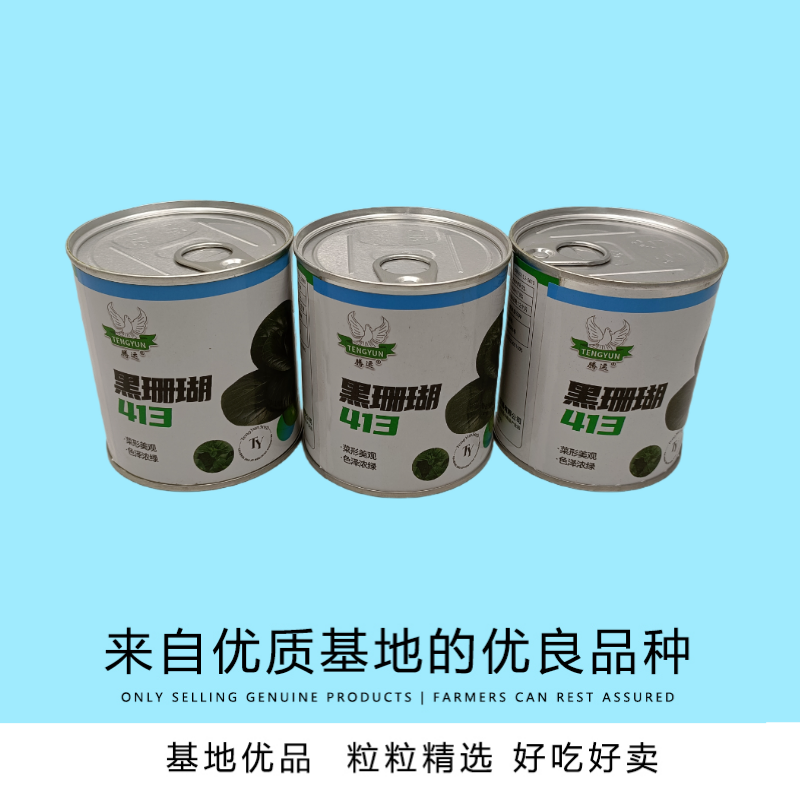 【新种上市】腾运黑珊瑚矮脚苏州青种子基地高产上海青小青菜