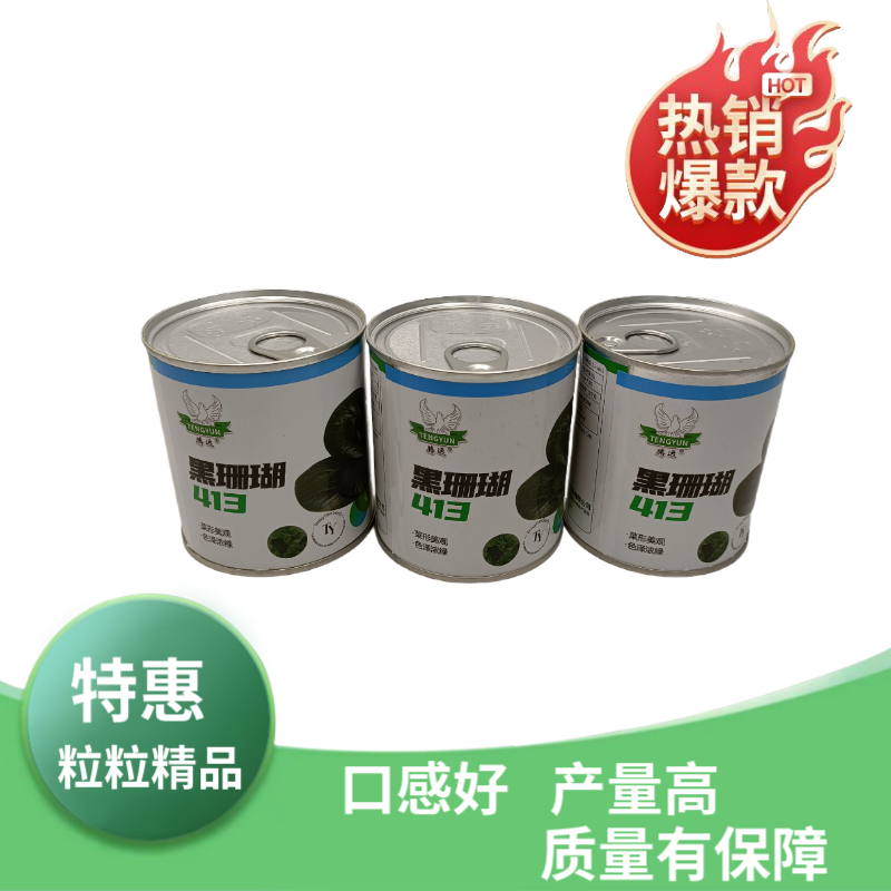 【新种上市】腾运黑珊瑚矮脚苏州青种子基地高产上海青小青菜