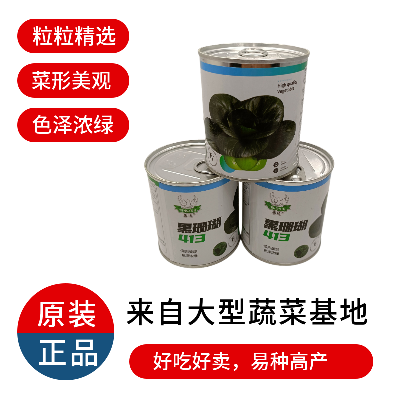 【新种上市】腾运黑珊瑚矮脚苏州青种子基地高产上海青小青菜