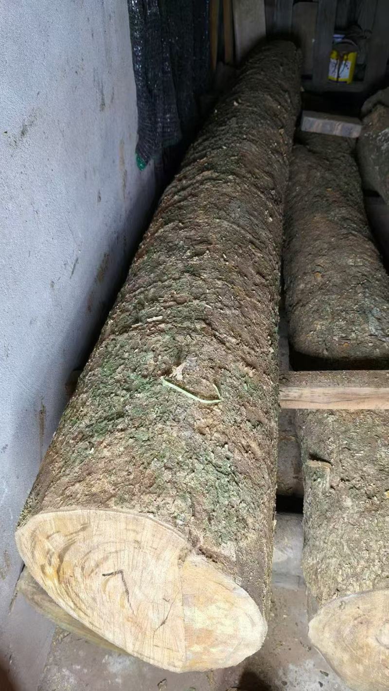 长期供应金丝楠乌木支持拿样