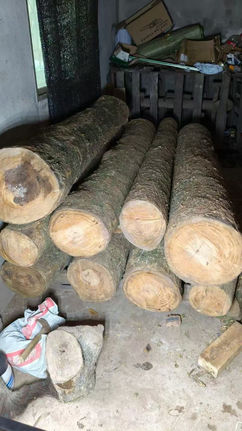 长期供应金丝楠乌木支持拿样
