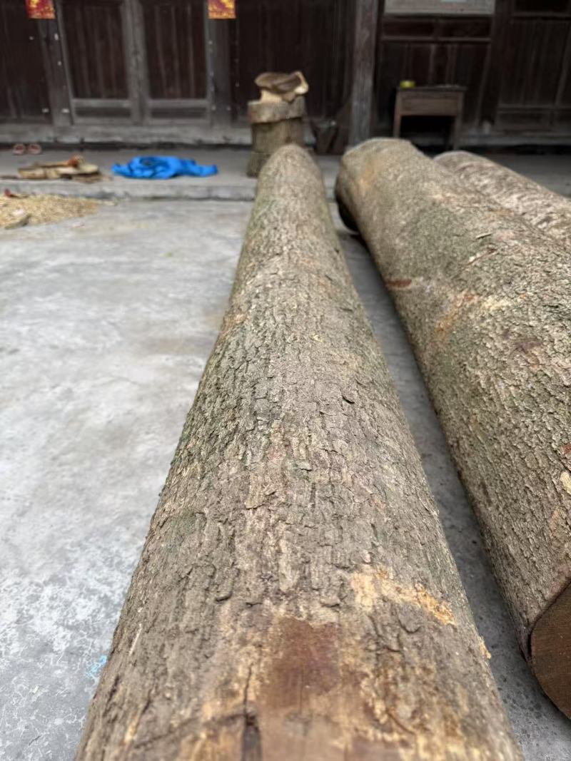 长期供应金丝楠乌木支持拿样