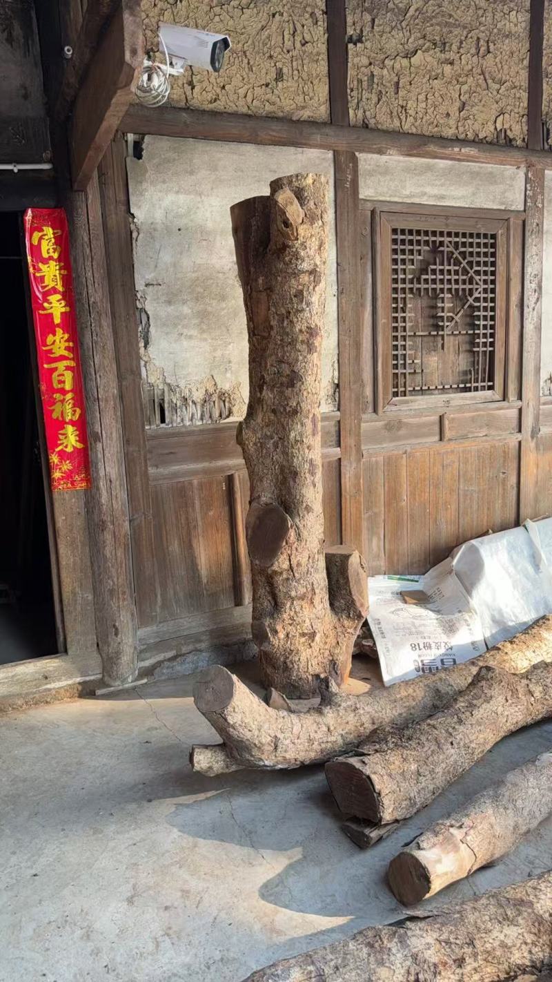 长期供应金丝楠乌木支持拿样