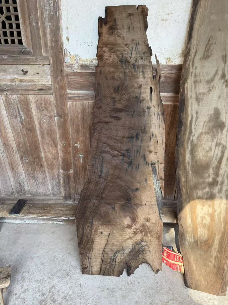 现挖现发楠木全网低价供应