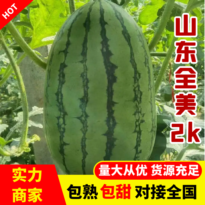 山东青州全美2k现摘现发品质保证诚信经营欢迎来电