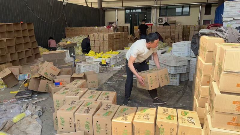 包邮山东羊角蜜电商一件代发，支持全平台代发，价格美丽