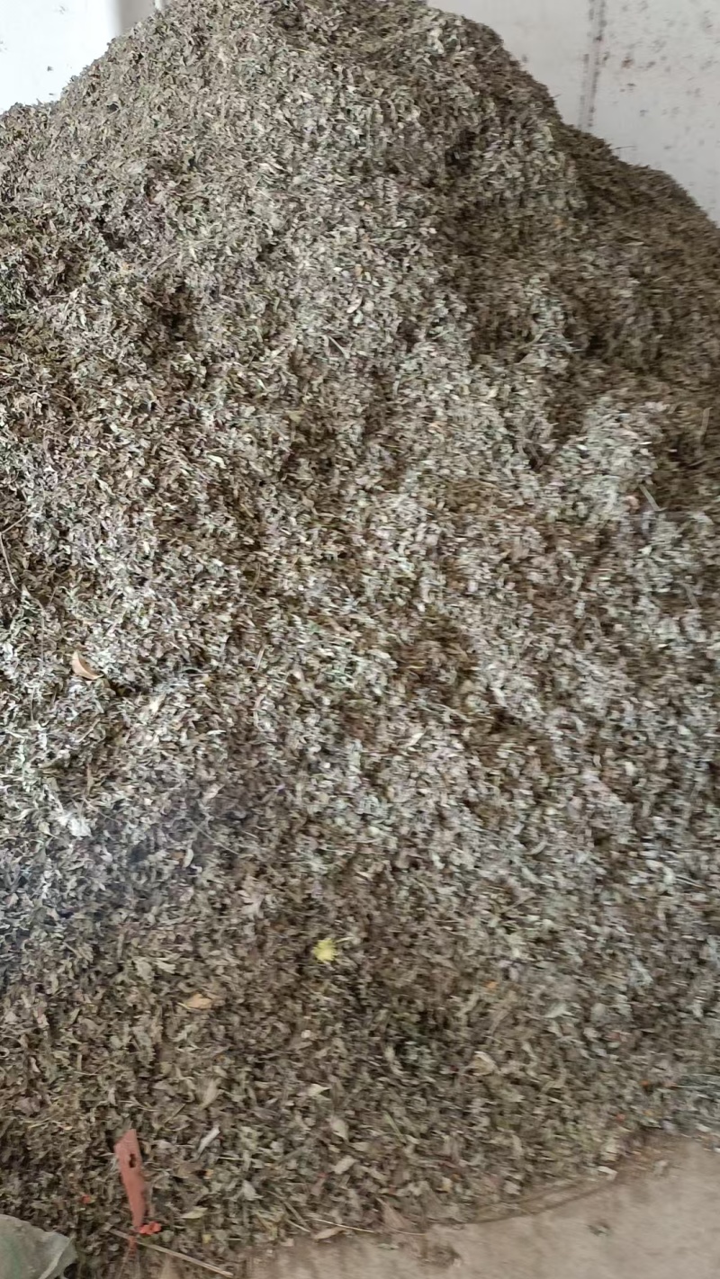 艾叶艾草干艾叶，中草药批发干净无杂质量大从优产地