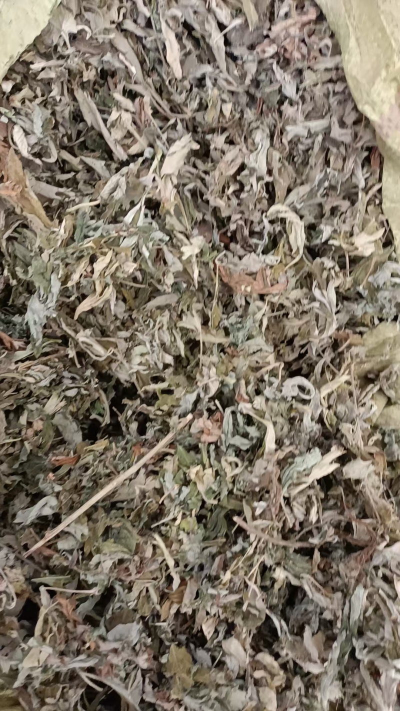 艾叶艾草干艾叶，中草药批发干净无杂质量大从优产地