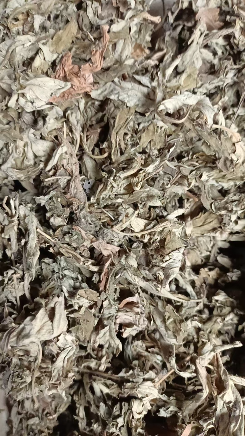 艾叶艾草干艾叶，中草药批发干净无杂质量大从优产地