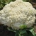 山东菜花松花菜白面青梗货量大品质好价格低一手货源发市场