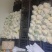 山东菜花松花菜白面青梗货量大品质好价格低一手货源发市场