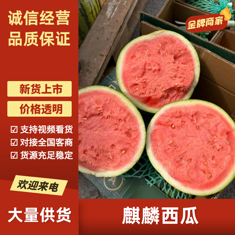 【无籽麒麟】夏邑西瓜一手货源保质保量现摘先发全国可供