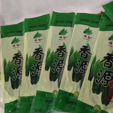 2025粽叶粽子叶当季真新鲜粽叶