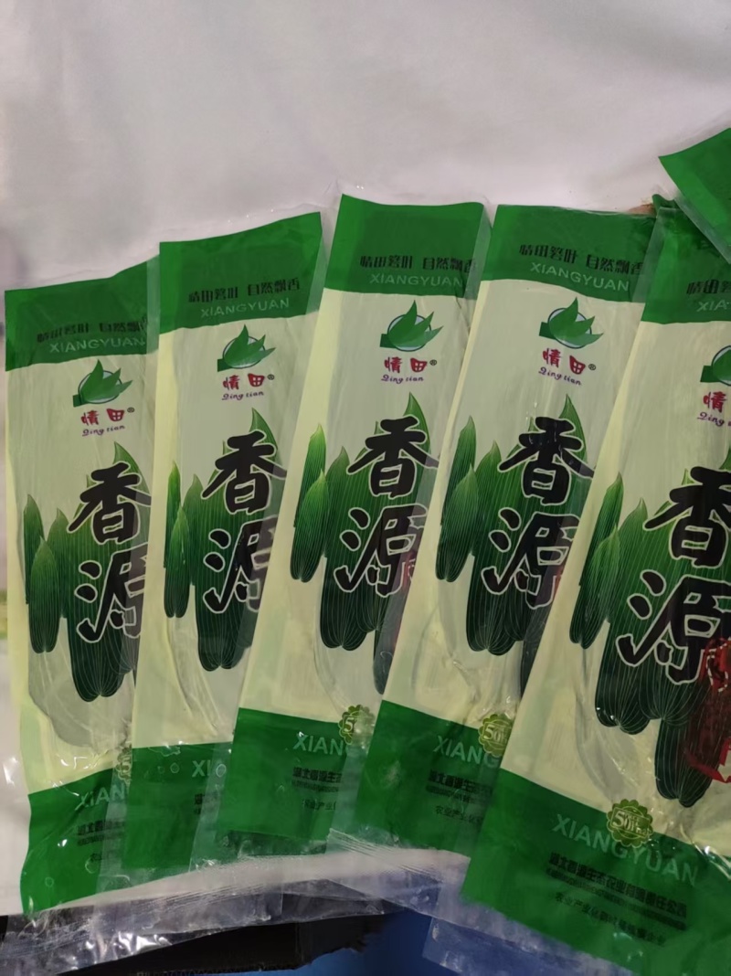 2025粽叶粽子叶当季真新鲜粽叶