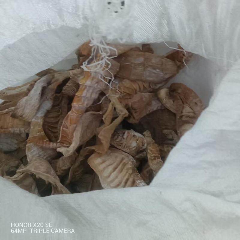 太阳味的笋干湖南基地直供质量保证一手货源量大优惠