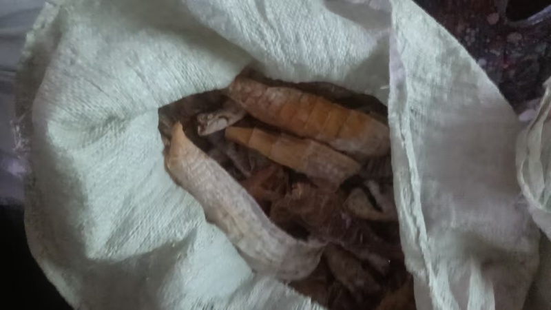 太阳味的笋干湖南基地直供质量保证一手货源量大优惠
