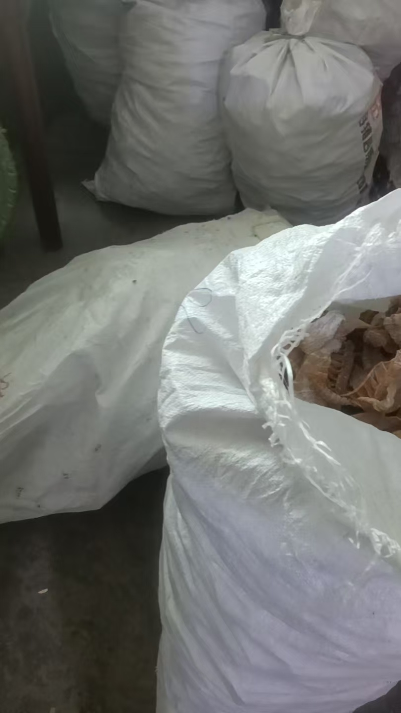 太阳味的笋干湖南基地直供质量保证一手货源量大优惠