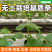 无土栽培椰糠条基质条