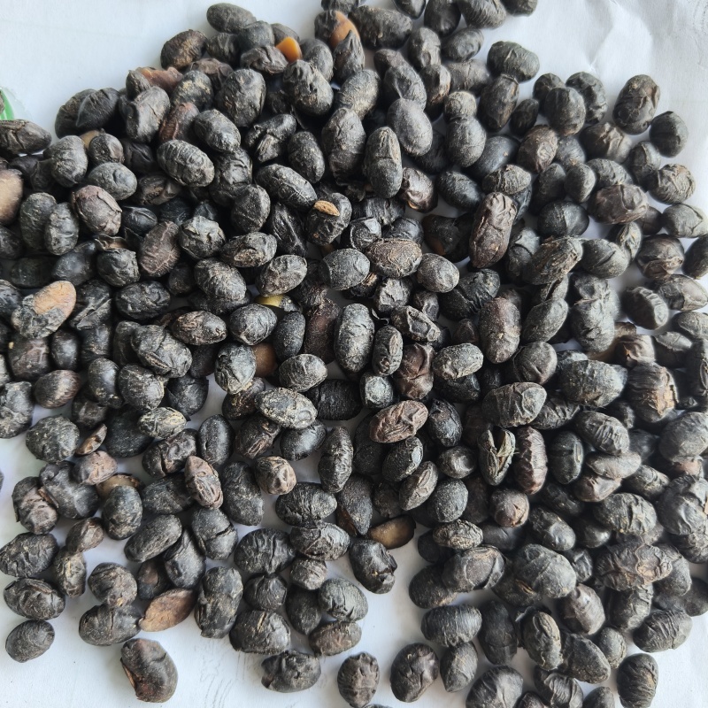 淡豆豉干货中药材用量大从优常年经营各种中药材