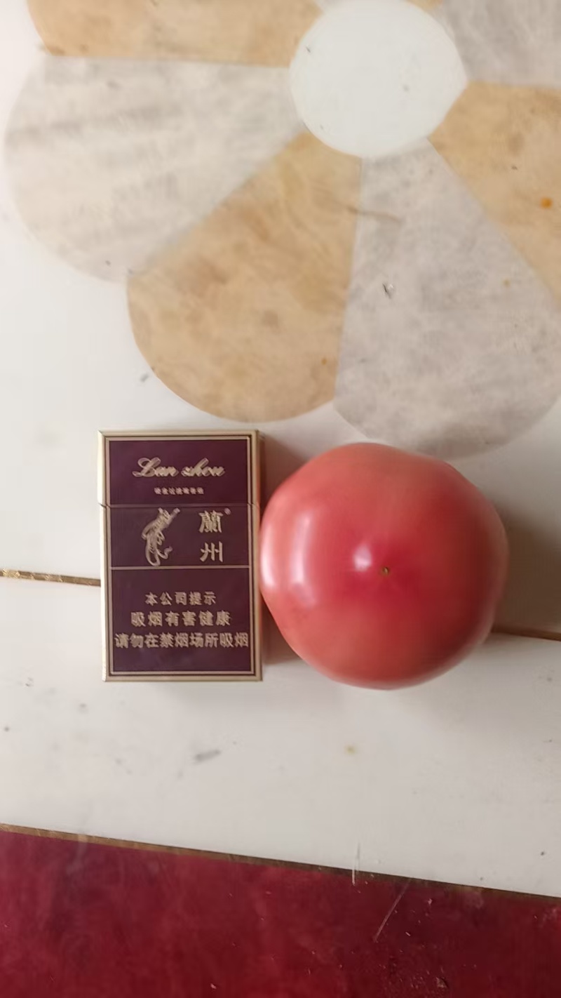面沙瓤西红柿，硬粉，产地直发，全国供货，品质保证，欢迎来电