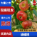 精品油蟠桃36-5，36-3油蟠桃基地，品种全，全国发货