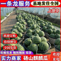 麒麟西瓜/无籽麒麟瓜/基地现货供应/包熟包甜欢迎来电洽谈