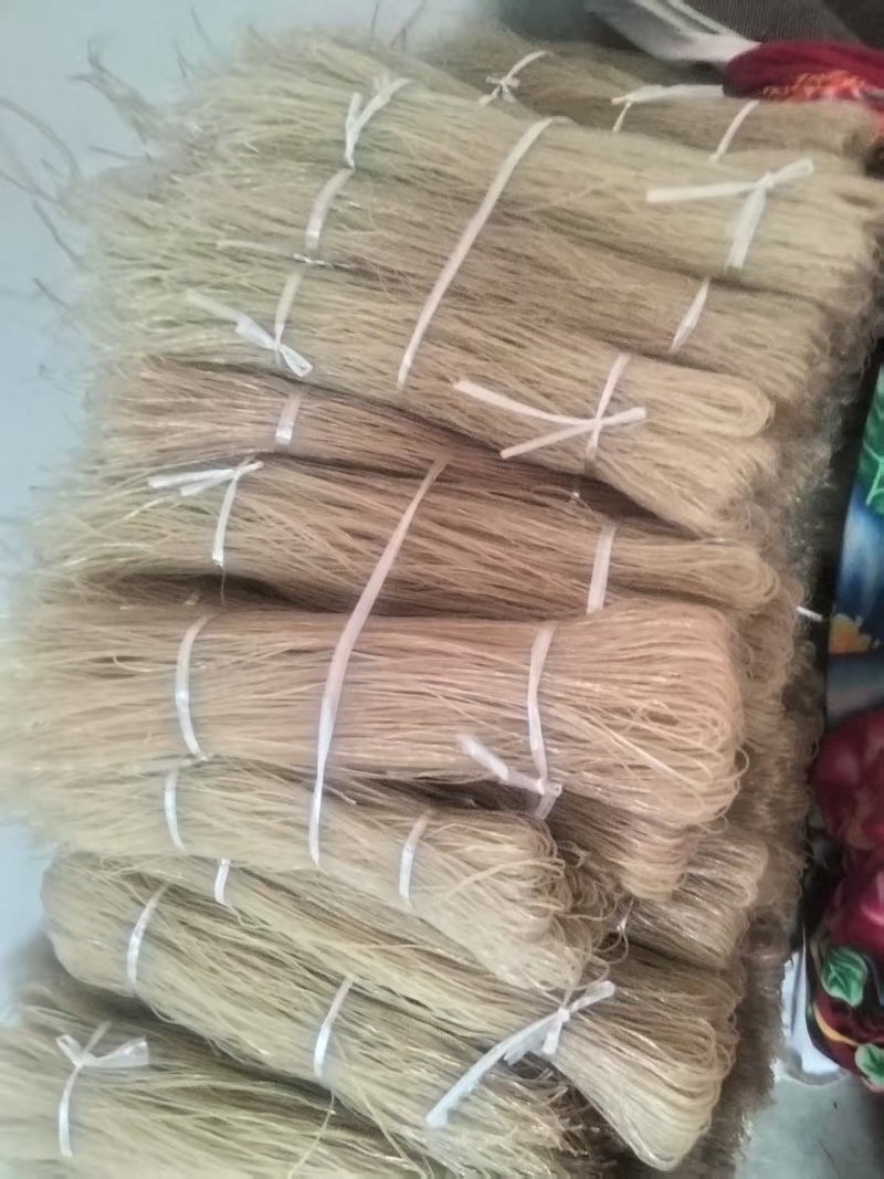 四川芭蕉芋粉条，大量新鲜现货，保质保量，欢迎选购