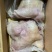 山东牛头肉/精选牛头肉/阳信牛头肉/量大从优诚信经营
