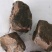儿茶中药材批发儿茶质量保证量大从优欢迎咨询