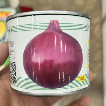 红宝石洋葱种子大圆葱耐寒紫皮秧苗水果洋葱紫红色辣味少