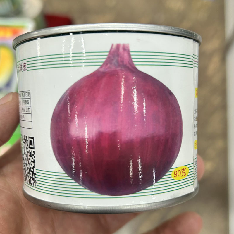 红宝石洋葱种子大圆葱耐寒紫皮秧苗水果洋葱紫红色辣味少