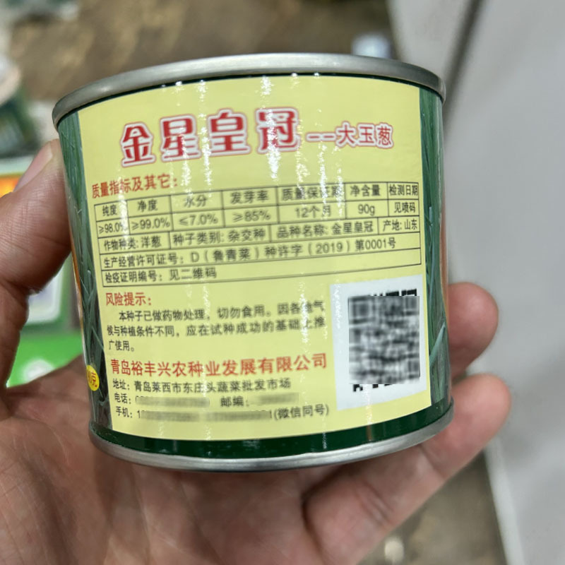 黄皮洋葱种子金星皇冠大玉葱高球产量高90克基地