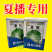 正品基地夏季专播夏冠结球大白菜种子耐热耐湿绿白菜种籽蔬菜