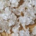 雪燕拉丝雪燕货源稳定长期供货欢迎合作量大从优