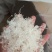 雪燕拉丝雪燕货源稳定长期供货欢迎合作量大从优