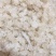雪燕拉丝雪燕货源稳定长期供货欢迎合作量大从优