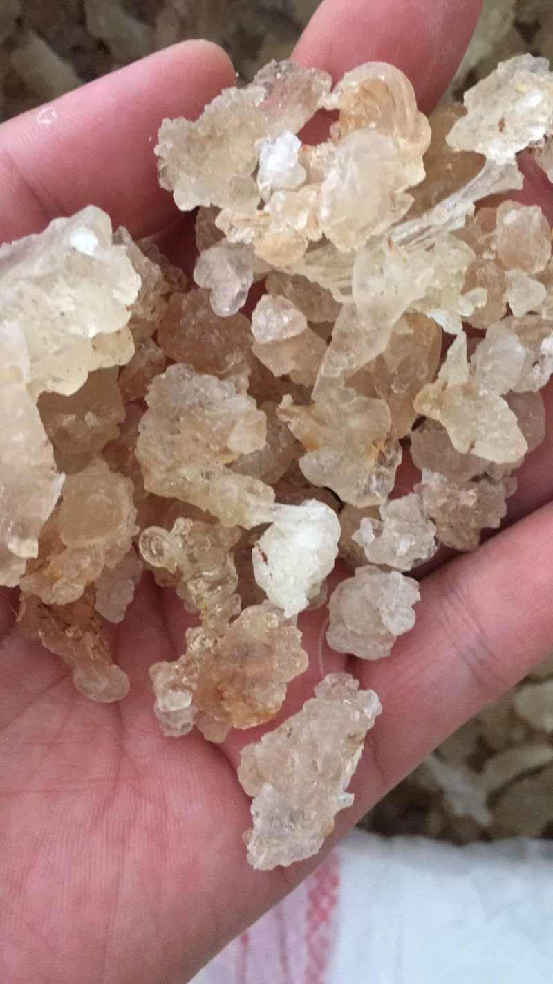 雪燕拉丝雪燕货源稳定长期供货欢迎合作量大从优