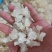 雪燕拉丝雪燕货源稳定长期供货欢迎合作量大从优