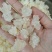 雪燕拉丝雪燕货源稳定长期供货欢迎合作量大从优