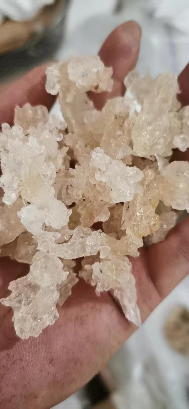 雪燕拉丝雪燕货源稳定长期供货欢迎合作量大从优