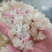 雪燕拉丝雪燕货源稳定长期供货欢迎合作量大从优