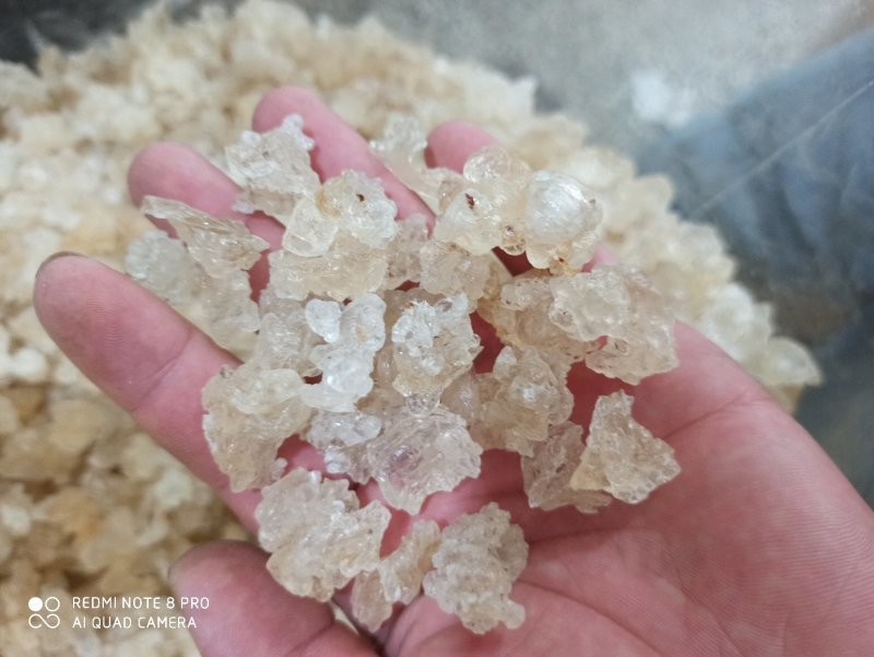 雪燕拉丝雪燕货源稳定长期供货欢迎合作量大从优