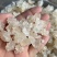 雪燕拉丝雪燕货源稳定长期供货欢迎合作量大从优