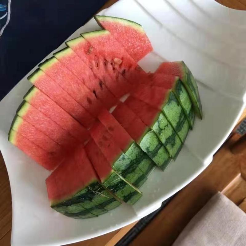 精品早春红玉2k西瓜小吊瓜产地直发大量供应中货源充足手剥西瓜