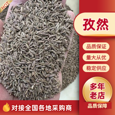 【精品】新疆孜然，源头基地一手货源，正宗味道香浓大量供应
