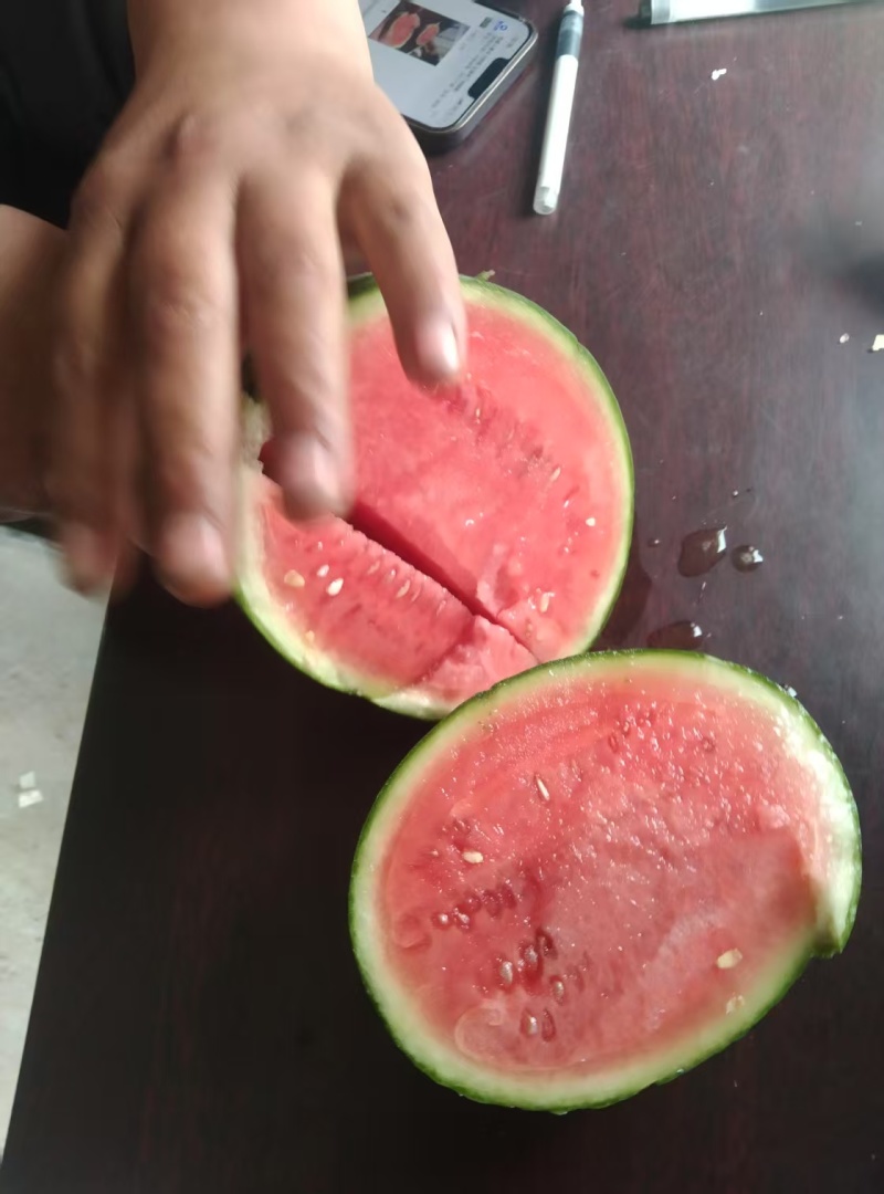 精品小吊西瓜品质上乘价格优惠支持视频看货欢迎来电谈